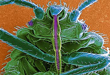 《潜行者2》预购开启 本体国区268元